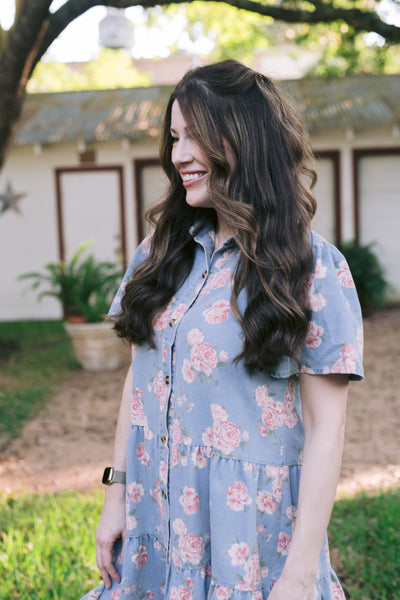 Delilah Denim Rose Print Dress