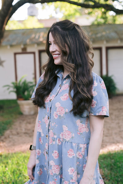 Delilah Denim Rose Print Dress