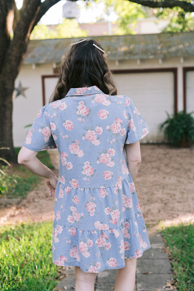Delilah Denim Rose Print Dress