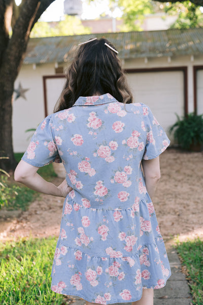 Delilah Denim Rose Print Dress