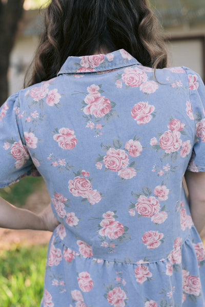 Delilah Denim Rose Print Dress