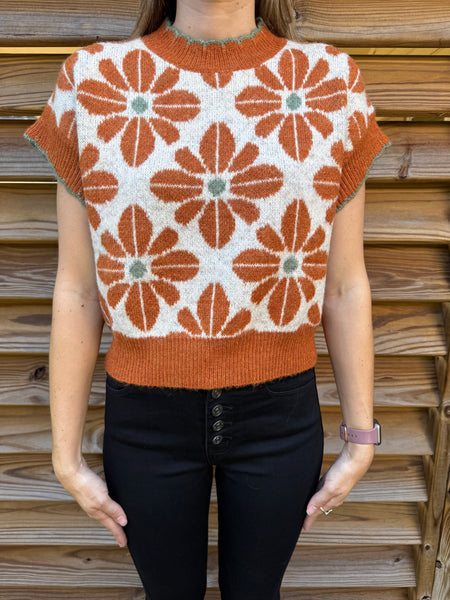 Autumn Is Calling Rust & Olive Sweater Top