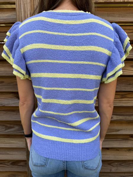 Periwinkle & Lime Striped Short Sleeve Sweater Top