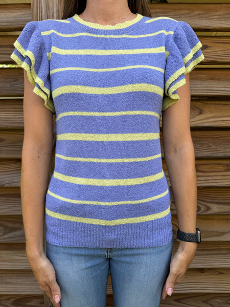 Periwinkle & Lime Striped Short Sleeve Sweater Top
